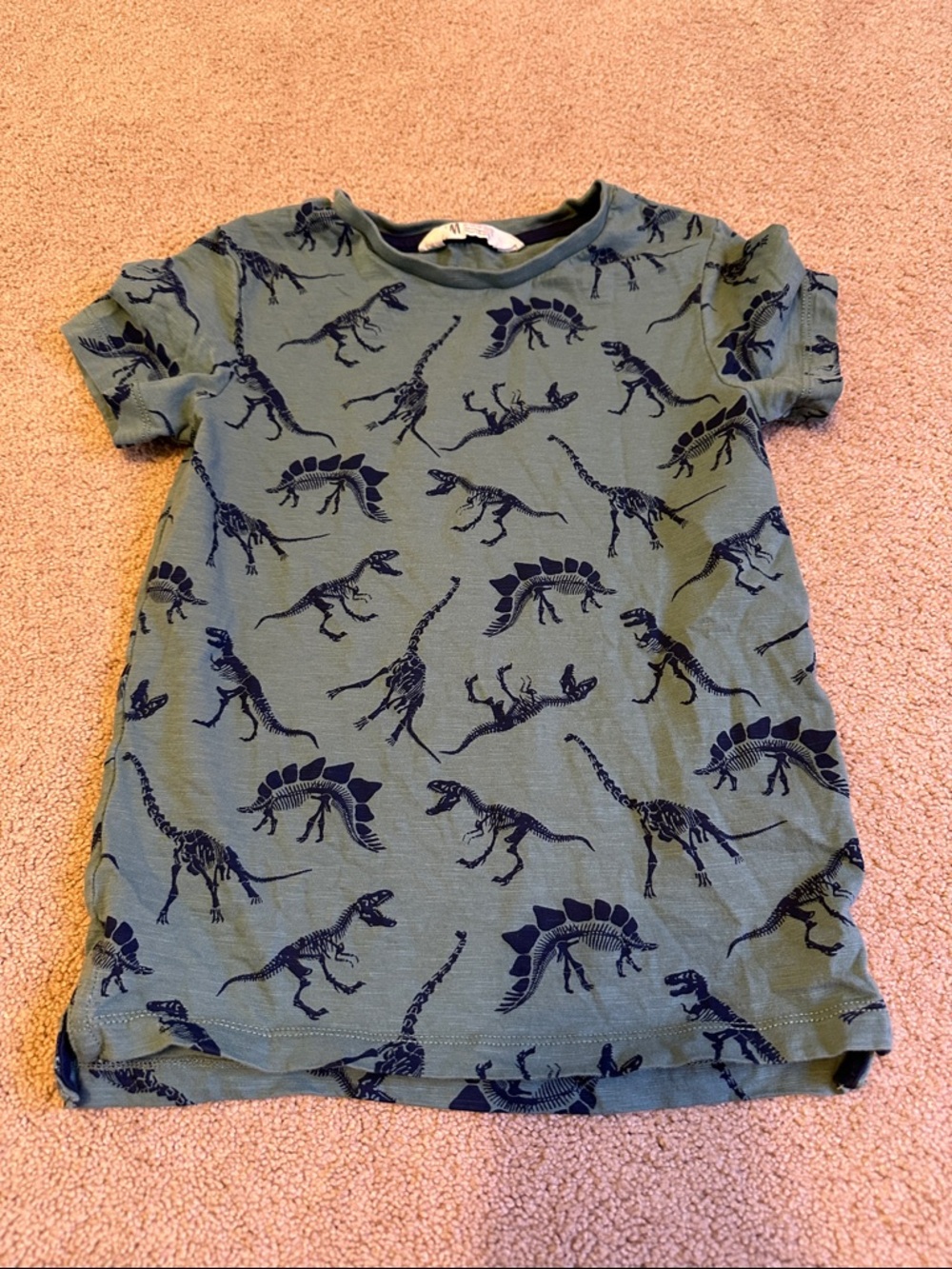 H&M Olive Green Tee with Navy Dinosaur Print